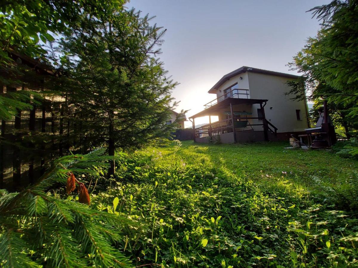 Vila C House Buşteni Exteriér fotografie