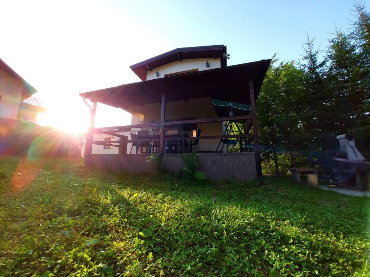 Vila C House Buşteni Exteriér fotografie