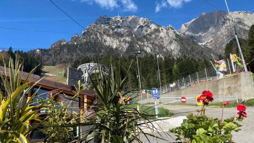 Vila C House Buşteni Exteriér fotografie
